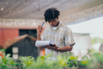 Young black man learning about farming, farming, and cultivation in a greenhouse.