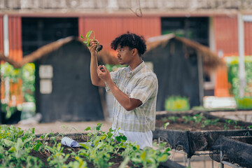 Young black man learning about farming, farming, and cultivation in a greenhouse.