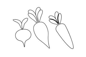 Simple line drawing of turnip carrot and radish vegetables