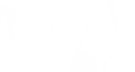 High-resolution image of a pure white background texture. Perfect for website backgrounds, presentations, and design pro