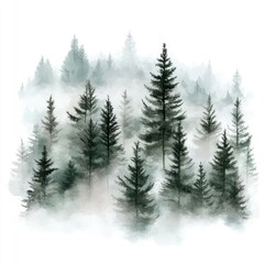 Misty forest scene, dark green trees