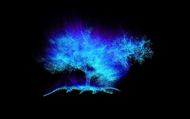 particle bonsai: time evaporation [fractal rotation] still ii