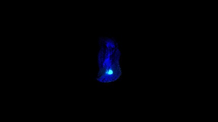 fluid smoke: liquid plasma [particle simulation loop] still