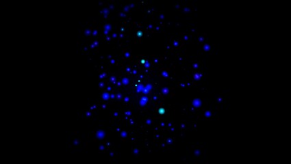 forest spirits: rising particles [swirling anima] still