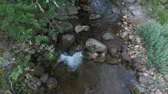 Crystal Clear River Water in Pristine Nature