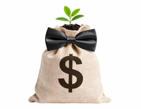 An attractive money bag with a dollar sign and a seedling growing from the top representing financial growth and prosperity isolate on transparent background