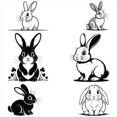 set of rabbits