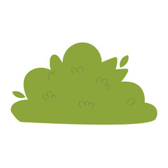 Decorative green plants in the form of garden shrubs, seasonal shrubs. To decorate a park, garden or green hedge.