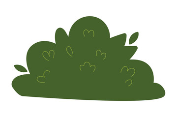 Decorative green plants in the form of garden shrubs, seasonal shrubs. To decorate a park, garden or green hedge.