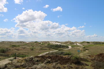 Dunes and vegetation - On the island of Spiekeroog