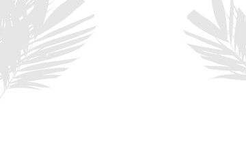 Modern Minimal Palm Leaf Shadows in Monochrome Style with Transparent Background