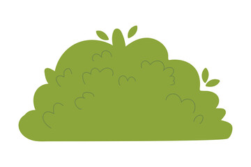 Decorative green plants in the form of garden shrubs, seasonal shrubs. To decorate a park, garden or green hedge.