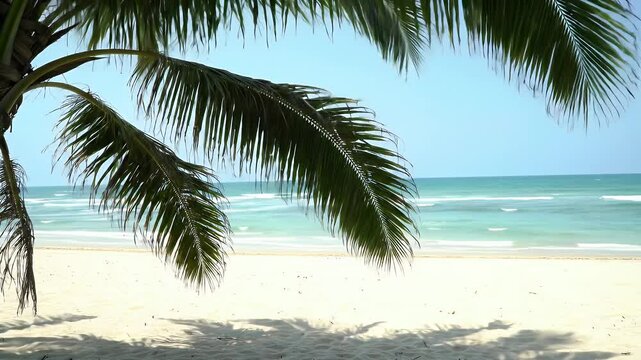 A tranquil beach scene with a still camera shot showing the foreground filled with swaying coconut tree leaves gently moving in the breeze.