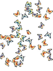 Adobe Illustrator Artwork