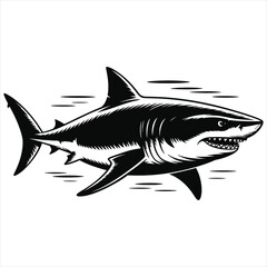 shark vector illustration