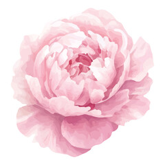Fototapeta premium Adobe Illustrator Artwork
