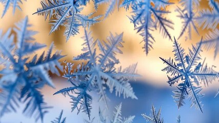 Detailed frost crystals forming intricate geometric patterns on a cold winter day, creating a delicate and icy texture against a muted gold background. - Powered by Adobe
