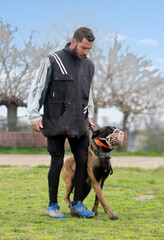 training of belgian shepherd