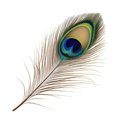 Obraz premium Colorful peacock feather showcasing intricate patterns and vibrant hues in natural light