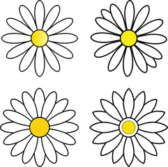 seamless pattern with white daisies