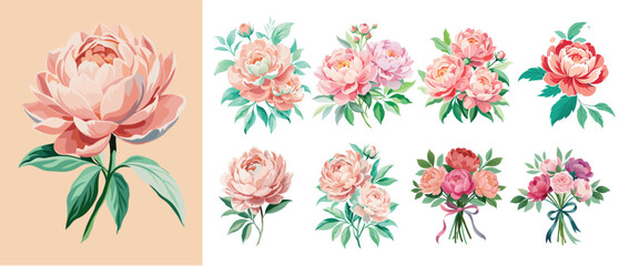 Elegant Peony Rose Art with Leaves - Realistic Floral Vector Illustrations