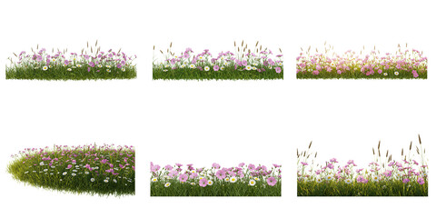 Blossoming Beauty: A vibrant collection of floral borders with lush green grass and delicate blooms.