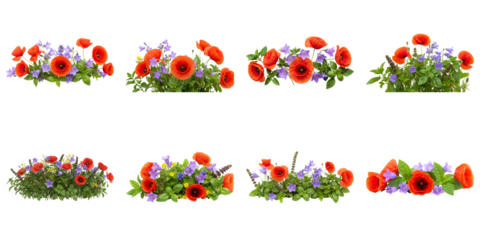 Floral Arrangements Collection: A vibrant collection of eight diverse floral arrangements, featuring red poppies and purple wildflowers, perfect for design projects and spring themes.