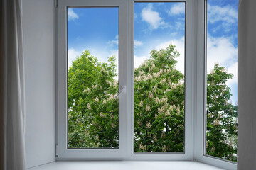 View from the window of a blossoming chestnut tree in the garden.