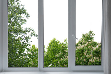 View from the window of a blossoming chestnut tree in the garden.