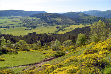 Spring landscape of Valderejo Natural Park, Basque Country, Spain