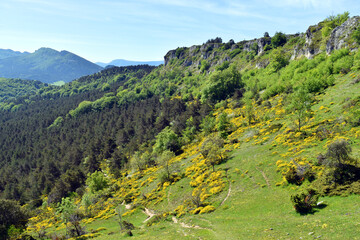 Spring landscape of Valderejo Natural Park, Basque Country, Spain