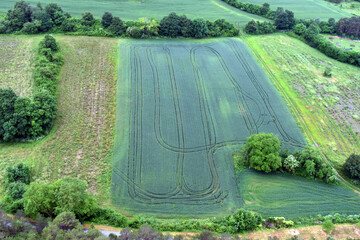 Geometric shapes made by a tractor in a green cereal crop
