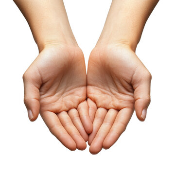 Two open hands cupped and facing upward against a white background, as if presenting or offering something