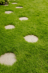 Picturesque garden path with stepping stones. Ideal for landscaping, nature, and garden design projects.