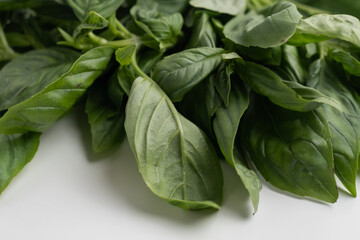 Basil leaves close-up on a light background. Aromatic seasoning. Antioxidants
