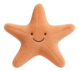 Cute plush starfish toy with a smiling face, featuring soft orange fabric and embroidered eyes, on transparent background.