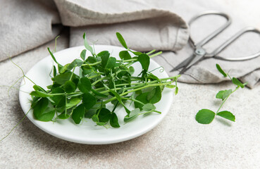 Fresh pea shoots on white plate with scissors and linen napkin