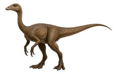 Realistic depiction of a brown dinosaur with a long tail and clawed feet, captured in a side view pose on transparent background.