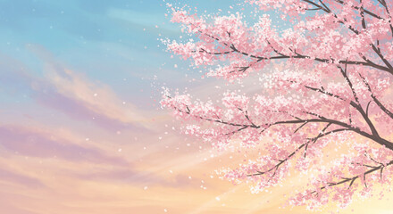 Sky background with beautiful cherry blossom tree