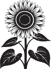 Black and White Floral Vector Illustrations Stylized Sunflower and Hibiscus Flower Designs with Bold Petal Details and Natural Beauty