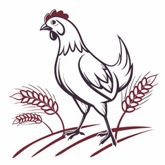 Animal illustration, chicken vector illustration 