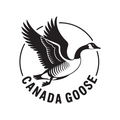 Canada goose. Vector black silhouette. with white background