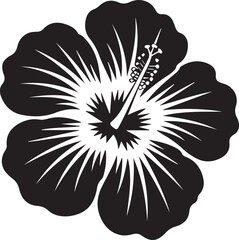 Black and White Floral Vector Illustrations Stylized Sunflower and Hibiscus Flower Designs with Bold Petal Details and Natural Beauty