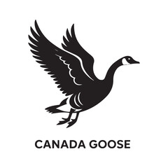 Canada goose. Vector black silhouette. with white background