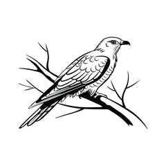 Fototapeta premium silhouette of bird isolated on white background