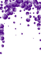 Vitamin D3 round capsules.