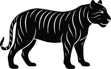 tiger vector illustration