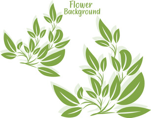 Elegant Green Leafy Plant Illustration with Soft Shadows and a Clean White Background Perfect for Nature Themed Designs and Botanical Projects with a Fresh and