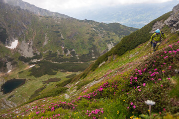 Adventurer trekking through dramatic mountain landscape, wearing protective gear while pink alpine blooms frame the scene