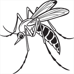 mosquito vector